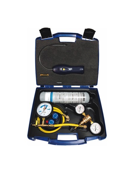 Prueba de pérdidas de nitrógeno