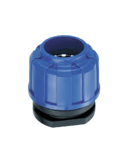 copy of ASP - Tapón