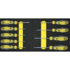 Módulo destornilladores Torx
