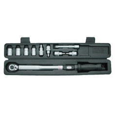 Torque wrench set with 10 pieces