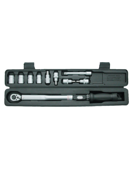 Torque wrench set with 10 pieces